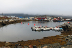 IMG_2895