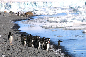 Antarctica