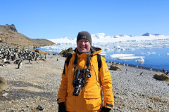 Huge gentoo colony
