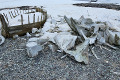At Mikkelsen Harbour