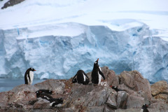 Overlooking glacier, Neko Harbour