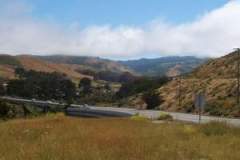 1222796376_resized