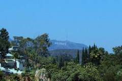 1222796382_resized