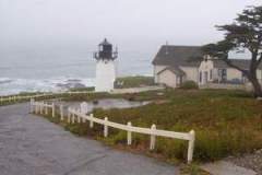 1222796386_resized