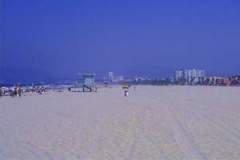 1222796391_resized