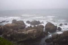 1222796398_resized