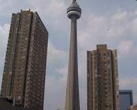 1222811485_resized