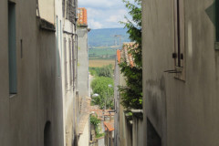 IMG_1962