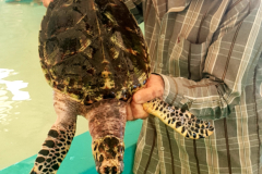 20181213_215040