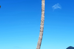 20181217_215107