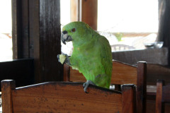 sommer2007-260