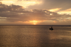 sommer2007-264