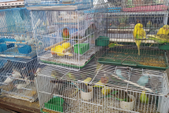 20170331_132803