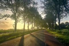 Arrived in the Netherlands