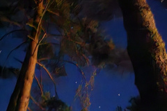 Camping at night