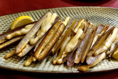 Razor clams at the World's end, Finisterre