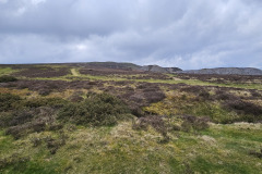 Wales