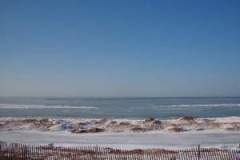 1222886277_resized
