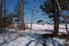 1222886286_resized