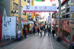 IMG_7863