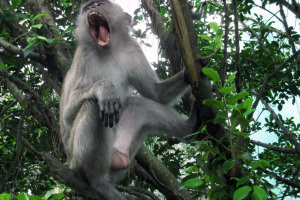 Malaysia 2010