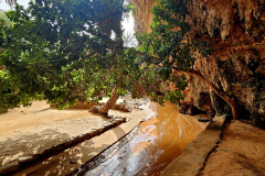 The small river in the oasis