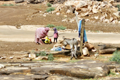 Local road stall