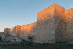 DSCF9956