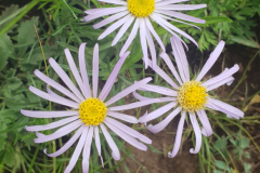 20190730_122841