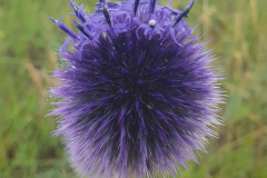 20190730_123306