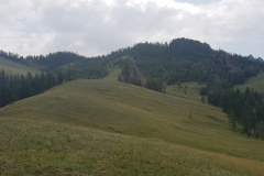 20190730_123739