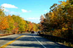 New England foliage 2018