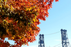 20181019_222632