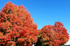 20181019_222715