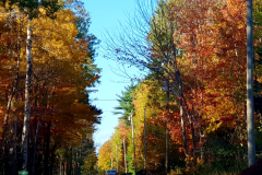 20181020_221734