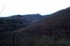 1222885688_resized