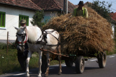 romania16
