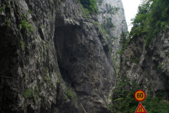 romania19