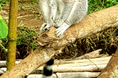 20191201_211531