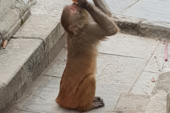 20191215_170709
