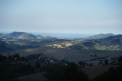 DSCF8473