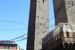 DSCF8503