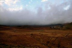 1222896440_resized