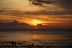 DSCF8920