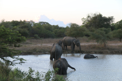 IMG_8666