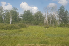 20190725_141017