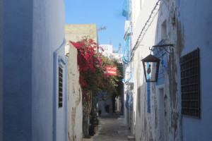 Tunisia 2014