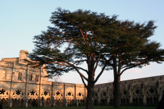 uk200711