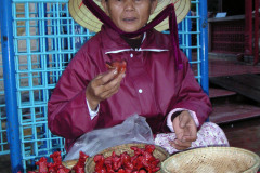 Vietnam 2005