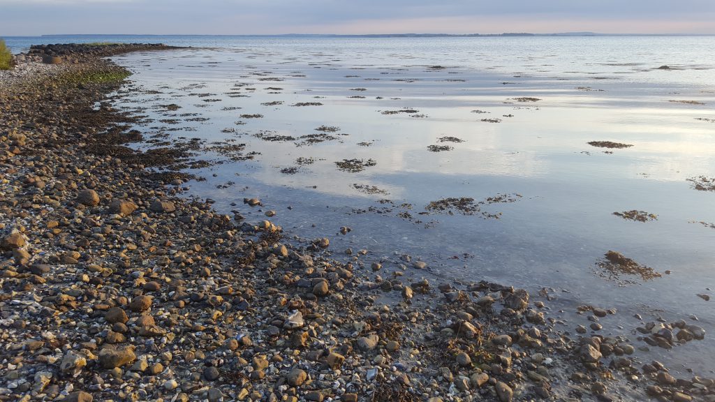Danmark dejligst - stranden ved Gyllingnæs på en sommeraften